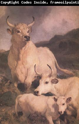 Sir Edwin Landseer Wild Cattle at Chillingham (nn03)